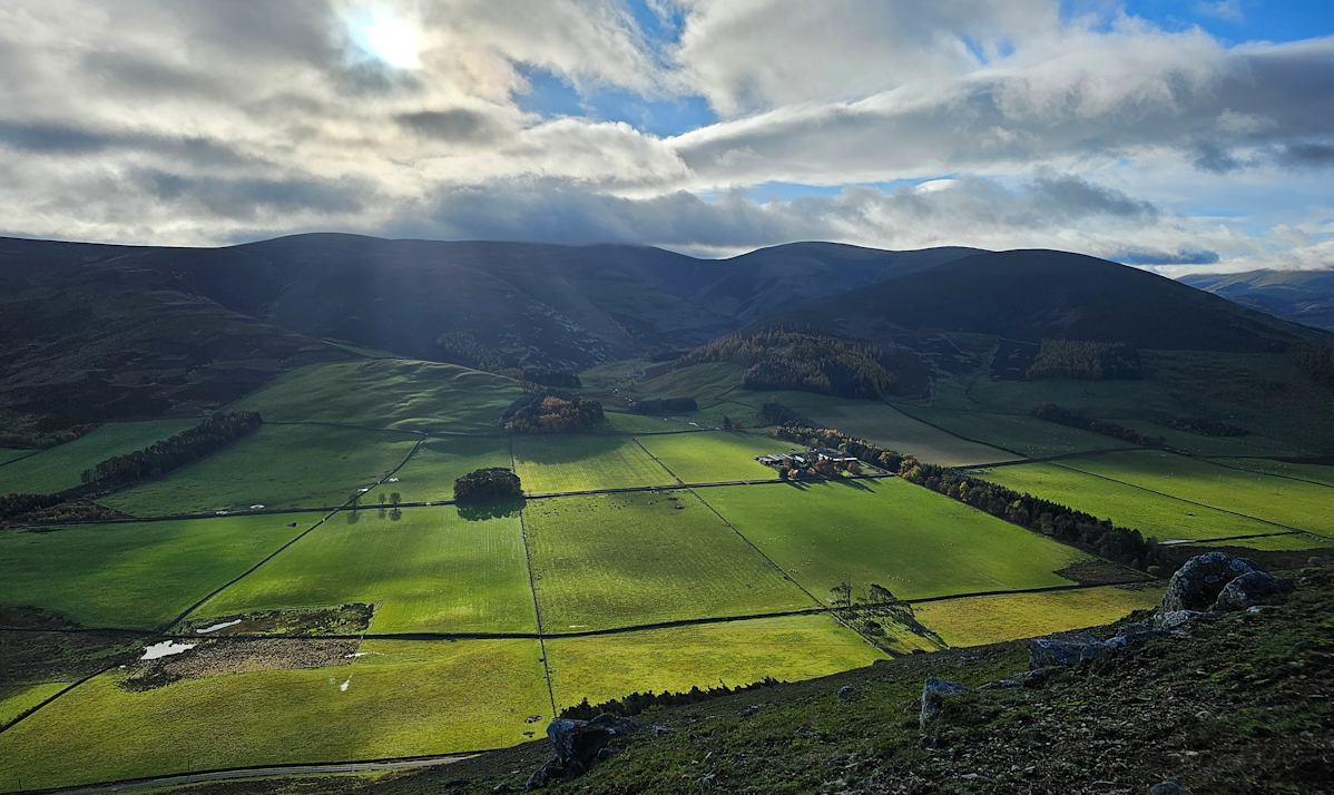 View to Hundleshope Heights from an Iron Age Fort on the John Buchan Way.